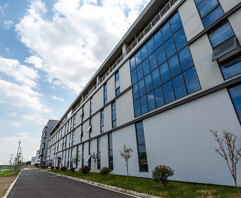 有限公司 有限公司